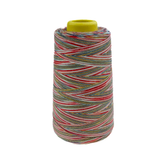 4 Konen Overlock Garn Multicolor
